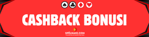 Cashback bonusi